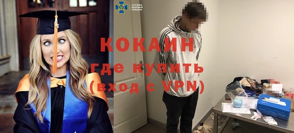 гашик Верея