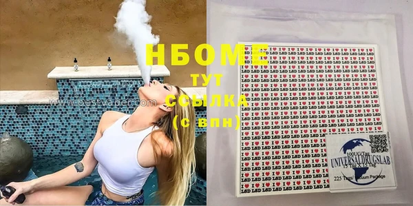 гашик Верея