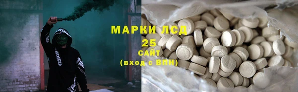 гашик Верея