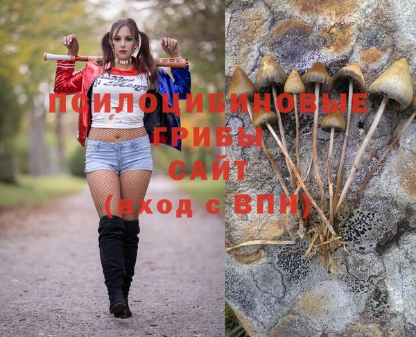 MDMA Premium VHQ Верхний Тагил