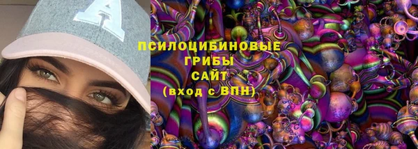 гашик Верея