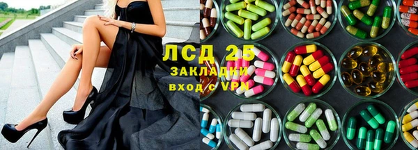 гашик Верея