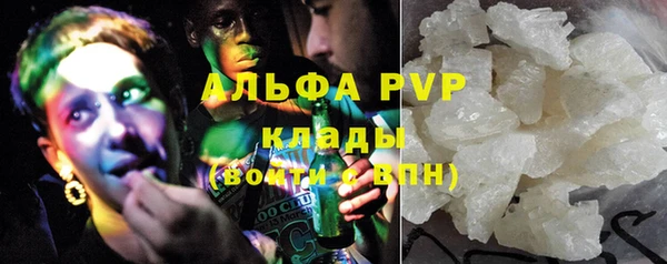 гашик Верея