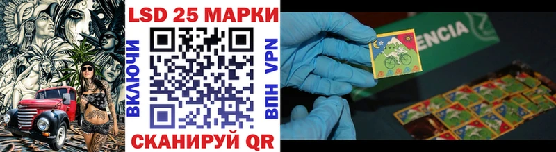 мега сайт  купить наркоту  Каменногорск  Марки 25I-NBOMe 1,8мг 